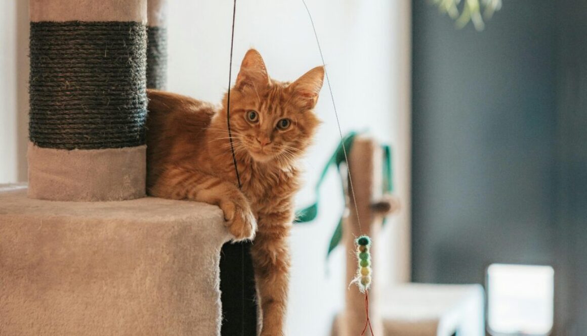 Beitragsbild von Hallo Welt